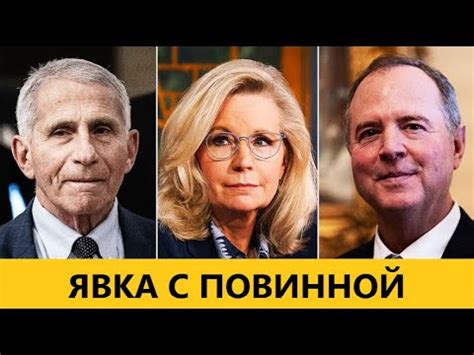🔴 Предварительное помилование - это явка с повинной. - YouTube