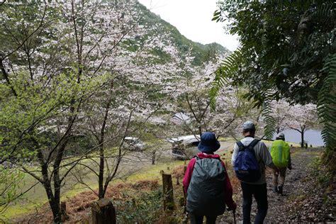 Dsc07917 ゆうさんの山 Ⅲ