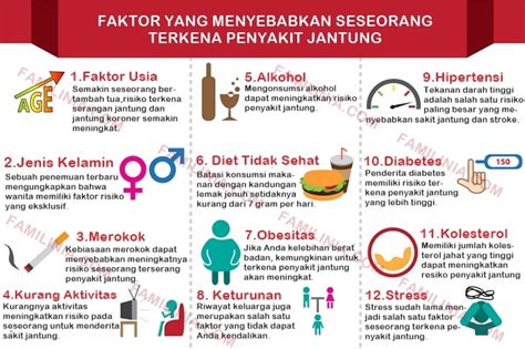 Catat Inilah Penyebab Dan Gejala Penyakit Jantung Beserta Tips