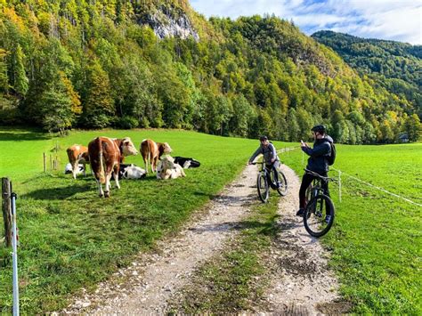 Bled Tour Privato In Bicicletta Del Lago Di Bled E Del Parco Nazionale