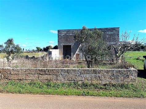 Terreno Agricolo Strada Comunale Del Mito Tricase Rif 107921985