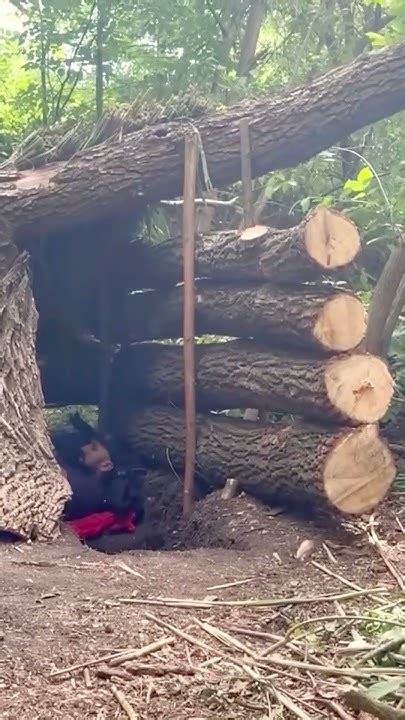 Building Bushcraft Shelter Alone In The Forest Survival Bushcraft Youtube