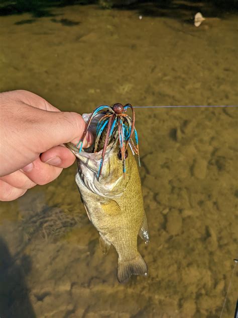 Bass Jigs A Complete Guide To Making Your Own