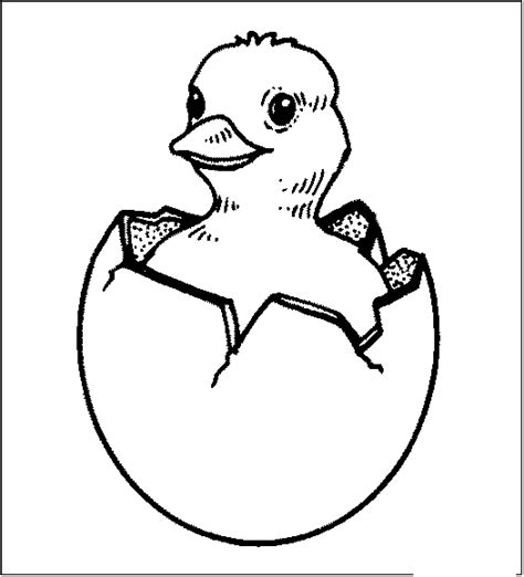 Dessins Gratuits Colorier Coloriage Poussin Imprimer