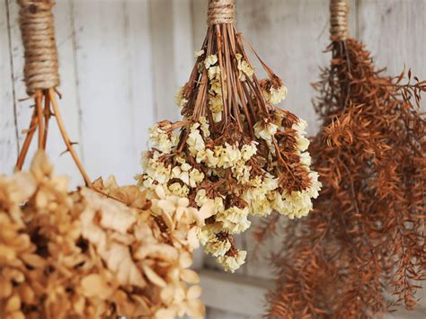 Dried Flower Arrangements - Growing Plants And Flowers To Dry