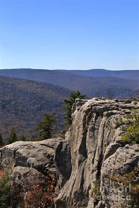 Lions Head Cliff On Breathe Mountain Dolly Sods Photograph By Douglas