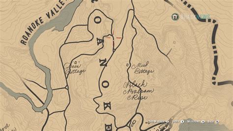 Red Dead Redemption 2 Dinosaur Bone Location Map Glassbxe