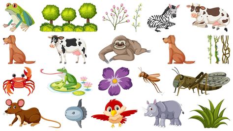 Set Of Different Animals And Plants 693526 Vector Art At Vecteezy