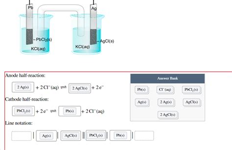 Solved Pb Ag PbCl2 S AgCl S KCl Aq KCl Aq Anode Chegg