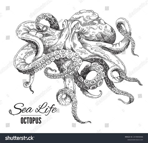 Giant Octopus Tattoo