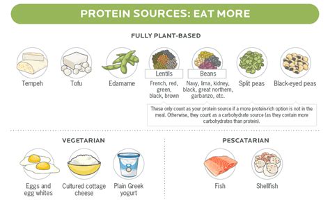 Plant Based Protein A Guide From Precision Nutrition