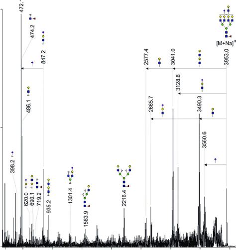 Maldi Tof Tof Mass Spectrum Of The M Na Molecular Ion At M Z