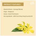 Buy Vedic Bloom Ylang Ylang Essential Oil Pure Natural For