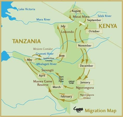 7 Days Great Migration Safari | Tanzania Horizon Safaris