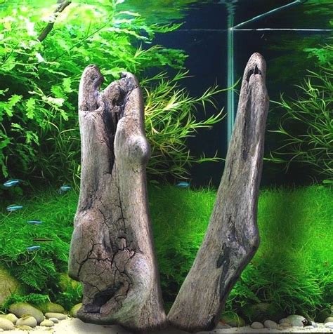 Driftwood Aquarium Reptile Decoration Slate Centerpiece Branch Natural