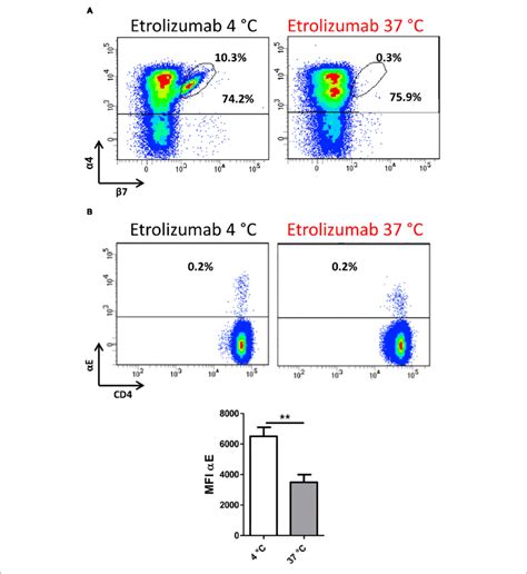 Internalization Minimizes Expression On The Cell Surface A