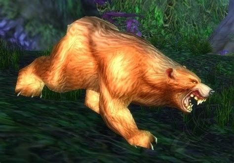 Elder Ashenvale Bear Npc Classic World Of Warcraft