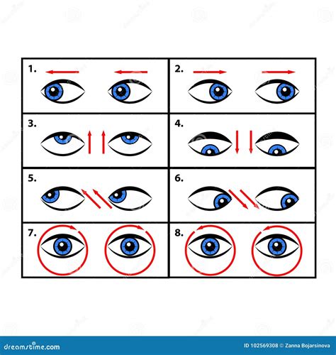 Exercícios Para Os Olhos Ilustração Do Vetor Ilustração do Vetor