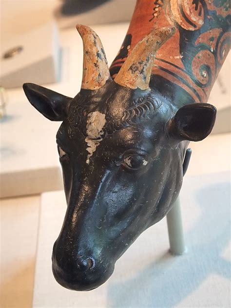 Closeup Of Red Figure Rhyton Drinking Vessel In The Shape Flickr