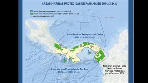 Experto Visitante Nuevas áreas marinas protegidas de Panamá YouTube