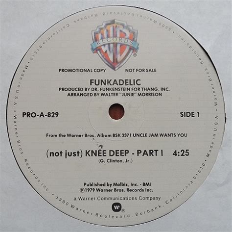 Funkadelic Not Just Knee Deep Groovaholiks Records