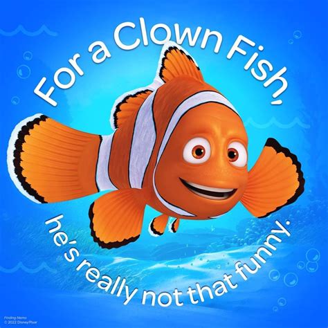 Pin By Crystal Mascioli On Finding Nemo In 2023 Clown Fish Finding