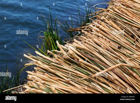 cane island Stock Photo - Alamy