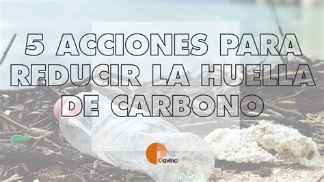 5 Acciones Para Reducir La Huella De Carbono Idavinci