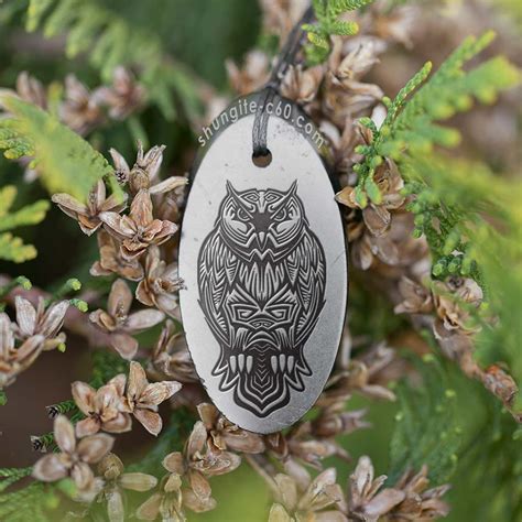 Shungite Owl Pendant Made Of Natural Rare Stone Shungite