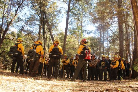 Gestión integrada del fuego Fire Adapt Comisión Nacional Forestal