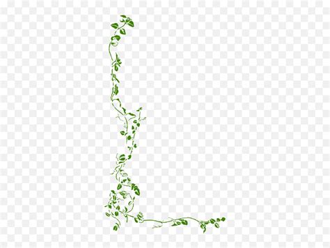 Hanging Vine Corner Transparent Vector Clipart Vine Border Png