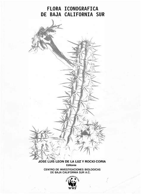 PDF FLORA ICONOGRAFICA DE BAJA CALIFORNIA SUR Flora Iconografica De