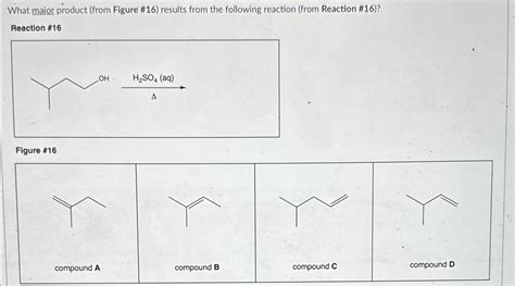 Solved What Major Product From Figure Results From Chegg