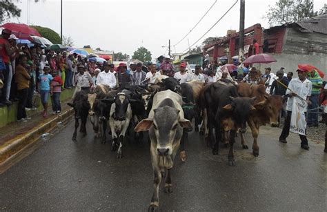 Bayaguana Recibir Este Jueves A Los Toros Del Santo Cristo De Los