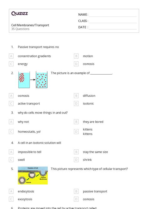 50 Membranes And Transport Worksheets For 12th Class On Quizizz Free