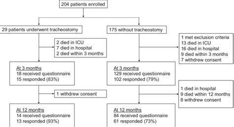 Patient Flowchart Icu Intensive Care Unit Download Scientific Diagram