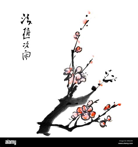 Chinese Painting Of Plum Blossom Stock Photo Alamy