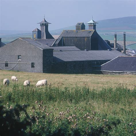 Distillery Tours on Orkney