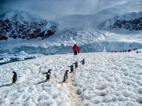 The Polar Regions - WorldAtlas