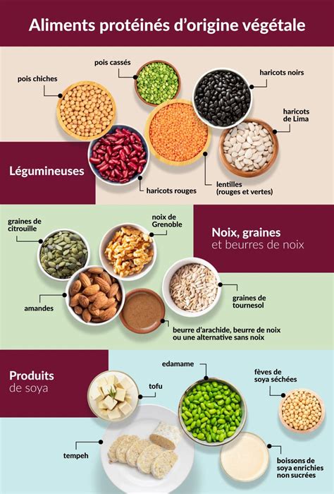 Les Aliments Protéinés Dorigine Végétale Font Partie Dhabitudes Alimentaires Saines Et Peuvent