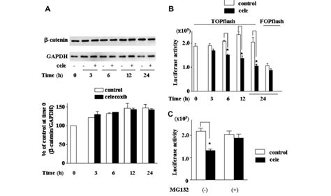 The Effect Of Celecoxib On B Catenin TCF Dependent Transcriptional