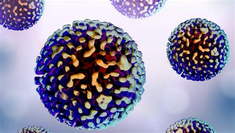 Epatite B Cronica Stimolare Il Sistema Immunitario Per Eliminare Il