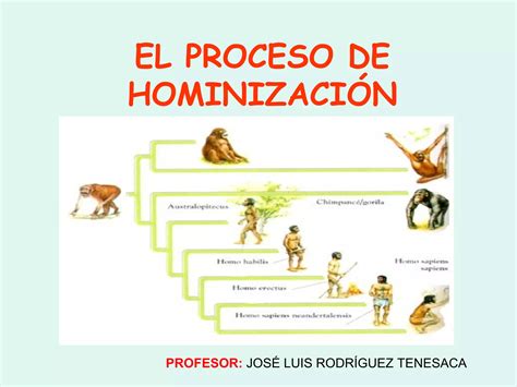 Proceso De Hominizaci N Ero Anatom A Ppt