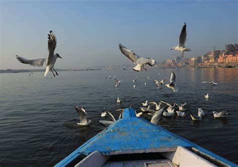 Days Private Varanasi Allahabad Bodhgaya Tour Kashi Ayodhya