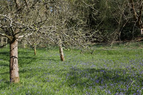Through The Lens Thomas Hardys Birthplace Hardy Cottage National Trust