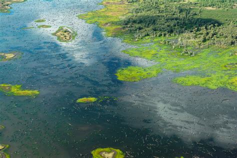 Coastal Wetlands Kakadu National Park Nt Photo Review