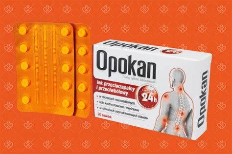 Opokan 20 Tabletek Apteka Internetowa Webpharm Pl