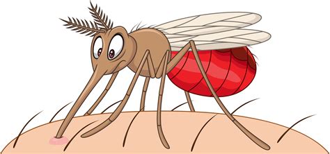 Mosquito Dos Desenhos Animados Sugando Sangue Vetor No Vecteezy