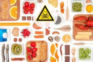 Disruptores Endocrinos En Los Alimentos Hogar Sin Toxicos Nuestra