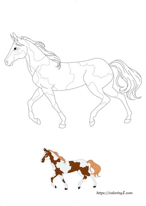 Pinto Horse Coloring Pages - 2 Free Coloring Sheets (2021) | Horse coloring pages, Horse ...